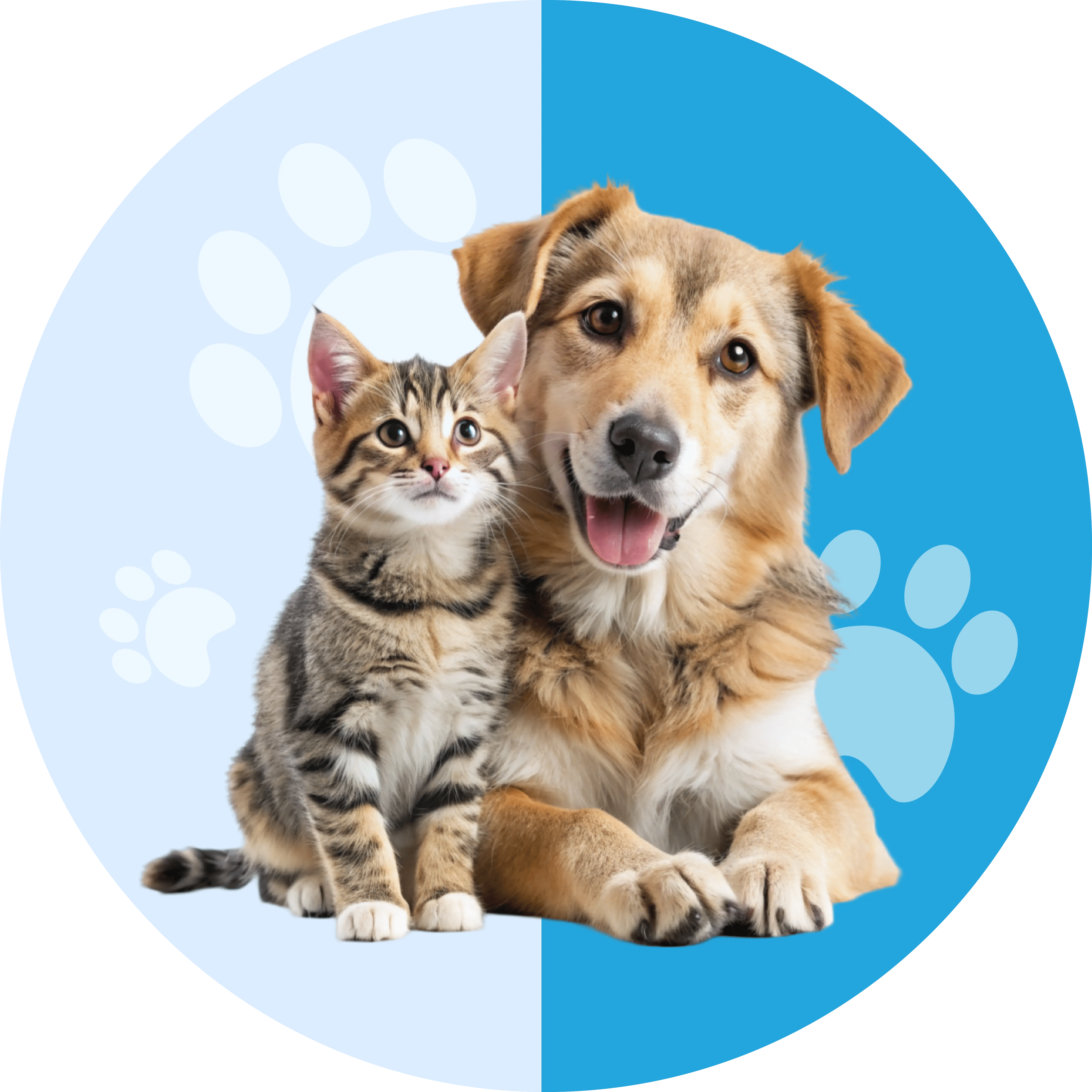 Product category image