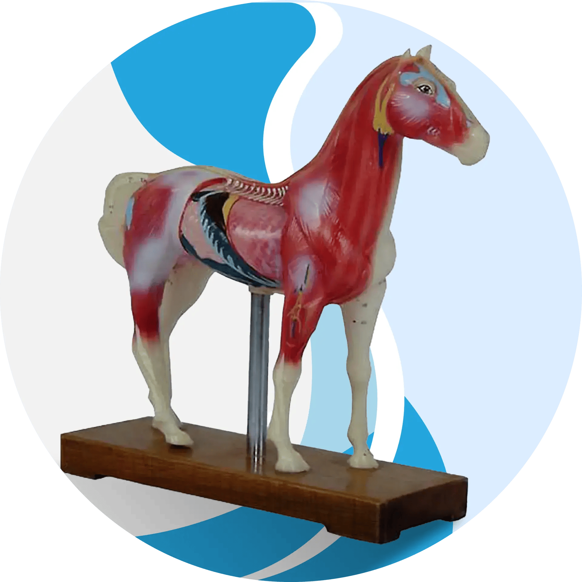 Product category image